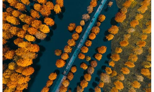 環(huán)保人的“六一+六五”